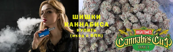 сатива Алексин