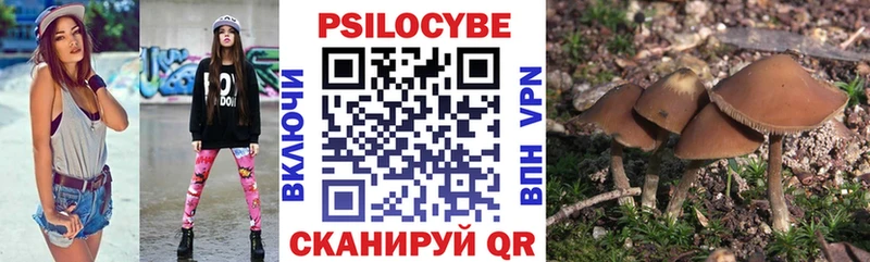 ОМГ ОМГ маркетплейс  Каргат  Псилоцибиновые грибы Magic Shrooms  маркетплейс телеграм  наркота 